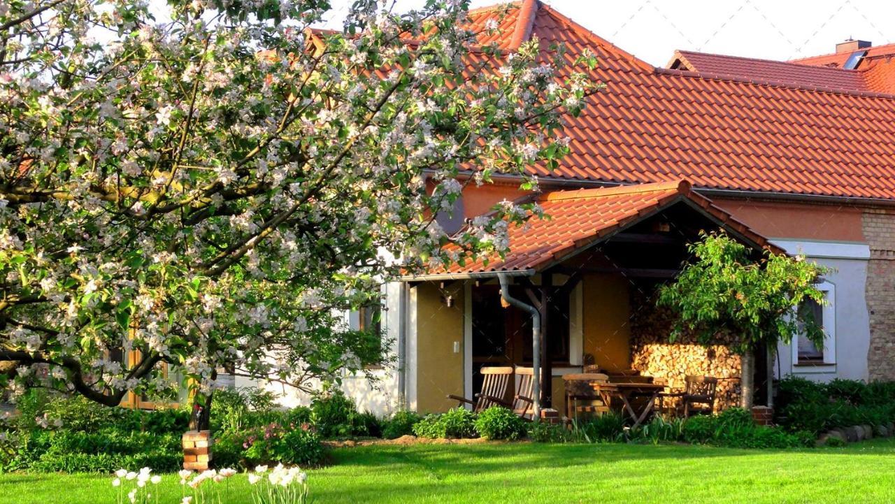 Janischs Fewo Im Spreewald, Terrasse, Grosser Garten Und Blick Inklusive Unterspreewald Exteriér fotografie