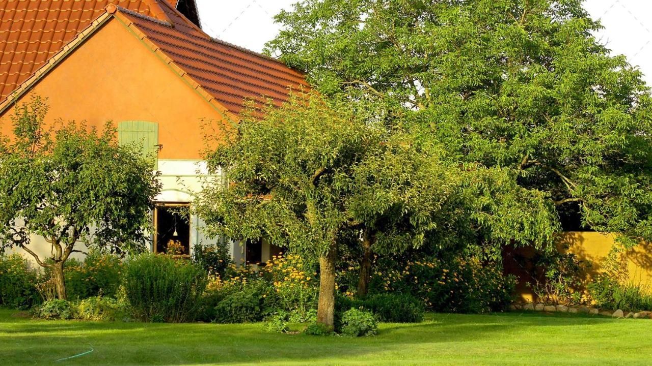 Janischs Fewo Im Spreewald, Terrasse, Grosser Garten Und Blick Inklusive Unterspreewald Exteriér fotografie