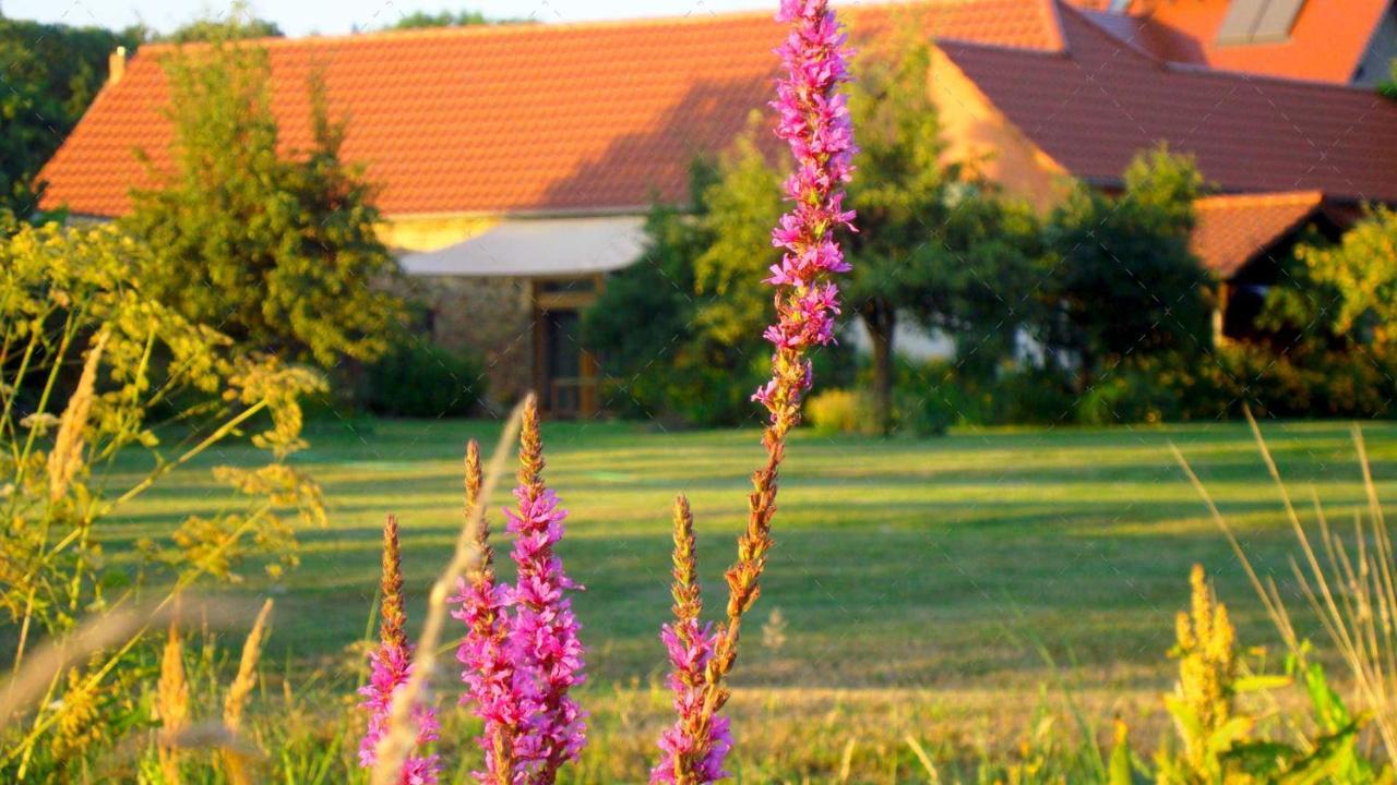 Janischs Fewo Im Spreewald, Terrasse, Grosser Garten Und Blick Inklusive Unterspreewald Exteriér fotografie