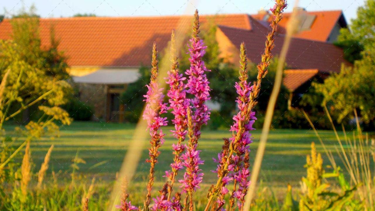 Janischs Fewo Im Spreewald, Terrasse, Grosser Garten Und Blick Inklusive Unterspreewald Exteriér fotografie